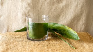 Lining a Vase with Foliage [upl. by Navannod]