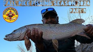 FALL PIKE FISHING SEASON 2024 PART 9 [upl. by Eenot]