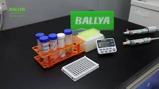 Aflatoxin B1 Rapid Test  Detection of Aflatoxin B1 in Corn  BALLYA [upl. by Roux]