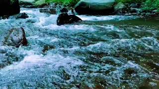 Nature Sounds Waterfall River Relaxation MeditationRelaxing Calm River Water flow for Stress Relief [upl. by Aimee]