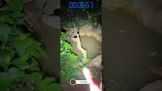 ✨Makam Tunggal✨viral video trending explore horror trend foryou [upl. by Nilrak]