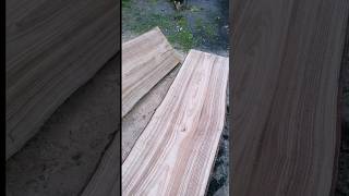 Planche de châtaigner à la tronçonneuse bois tronçonneuse woodworking [upl. by Corilla]