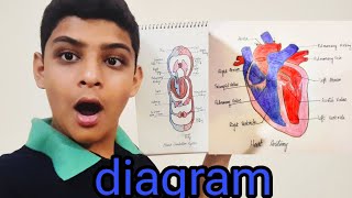 diagram banaa Li🎨🖼 vlog 318 [upl. by Ahsilef]