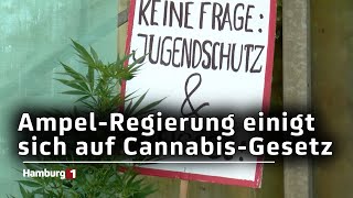 Legalisierung geht voran  AmpelRegierung einigt sich auf CannabisGesetz [upl. by Morris]