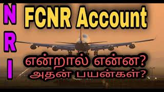 FCNR Account Tamil  Banking FCNR Account best for NRIs  Benefits to open FCNR account [upl. by Esom971]