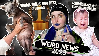 Worlds Ugliest Dog Crowned  South Korean Age Change Causes Chaos  Weird News 2023 [upl. by Eneres]