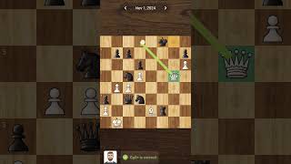 chess chessgame [upl. by Giacobo]