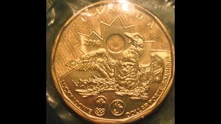 2016 Lucky Loonie Canada Dollar Coin [upl. by Ierbua]