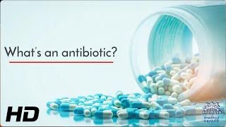 The Science of Antibiotics How They Work and Why They Matter [upl. by Llesirg]