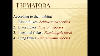 Trematodes [upl. by Sidonnie820]