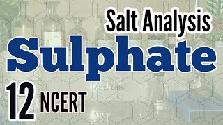 Identification of SulfateSulphate  Salt Analysis series NCERT [upl. by Berard]