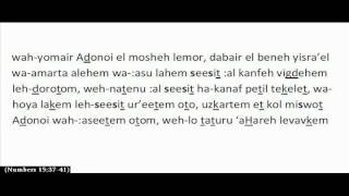 Morning Shema  RECITED SLOWLY transliterated [upl. by Akenihs379]