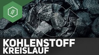 Kohlenstoffkreislauf – Stoffkreisläufe 3 [upl. by Sherburn]