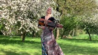 Nyckelharpa Swedish folk  “Bingsjö Lilla Långdans”  Nordic Music [upl. by Eradis774]