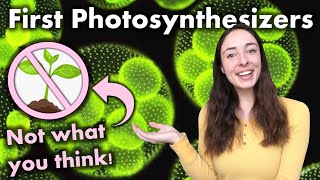 Evolution of Photosynthesis Were Anoxygenic or Oxygenic Phototrophs First  GEO GIRL [upl. by Miharba]