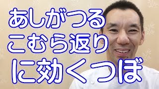 あしがつる（こむら返り）に効果のあるつぼ 亀岡市 南丹市 整体 しゅはら鍼灸整骨院 [upl. by Rockafellow12]