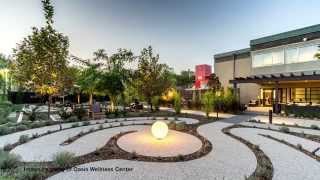 CSUN Student Services Ep 4  The Oasis Wellness Center [upl. by Ahselak394]