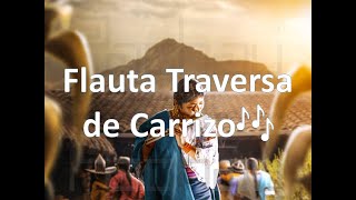 🎉Inti Raymi Zapateado  Flauta Traversa de Carrizo🎶  Sucus [upl. by Harutek]