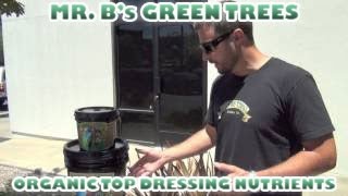 MR Bs Green Trees  Organic Top Dressing Nutrients for Outdoor amp Indoor Gardens amending Soil [upl. by Esya]