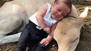 Funny Baby Sleeping AnytimeAnywhere Funny Baby Videos [upl. by Klapp]