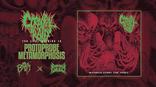 CORPORAL RAID  Protoprobe Metamorphosis  BRUTAL MIND X PATHOLOGICAL EXPLICIT Recs [upl. by Hsirrehc]