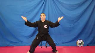 Kempo Karate  Ten Point Blocking [upl. by Nnahgaem]