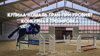 ★ ТРЕНИРОВКА С КОБЫЛОЙ ★ maple springs eventing Roblox ★ Vlog RRP ★ [upl. by Frost]