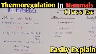 Thermoregulation In Mammals Fully Explained In Urdu Hindi  Class 12 Biology [upl. by Bale94]