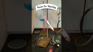 Demo 3  Swedish Fish Swimming in Potassium Chlorate shorts science experiment chemistry [upl. by Vigen53]