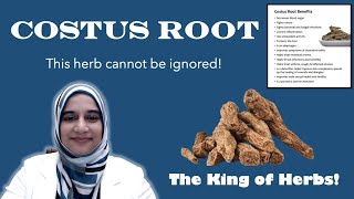 Costus Root  Indian Costus  القسط الهندي [upl. by Letrice540]