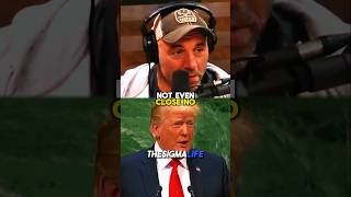 Rogan on Trump Schooling CNN Reporter [upl. by Haroun]