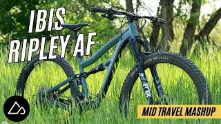 Ibis Ripley AF Trail Bike Review Capable Descender and Excellent Value MidTravel Mashup [upl. by Joellyn765]