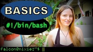 Intro to the Command Line  BASH Basics [upl. by Dorris869]