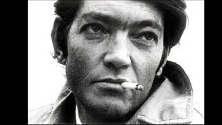 Julio Cortázar  Soneto gótico [upl. by Ellenrad854]