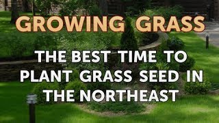 The Best Time to Plant Grass Seed in the Northeast [upl. by Qifar]