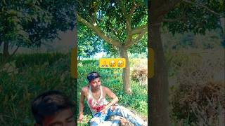 Hitai mitai sath chhor dela shortvideo fullmastiofficial sortfeed sortsvlog performancevideo [upl. by Sirtaeb]