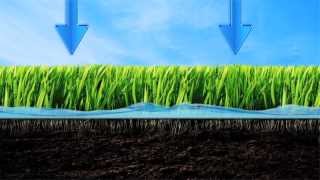 Be Water Smart  Lawn Watering Tips [upl. by Hudgens811]