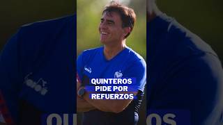 GUSTAVO QUINTEROS PIDE REFUERZOS PARA VÉLEZ futbol velez fichajes futbolargentino [upl. by Edwine]