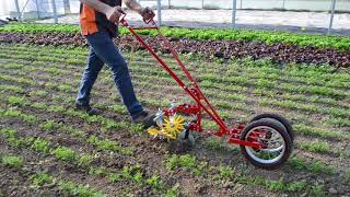 Terrateck  Double wheel hoe cultivator with finger weeder [upl. by Torto]