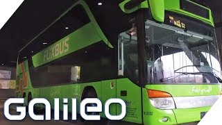 Flixbus  Wie wurde das Startup so erfolgreich  Galileo  ProSieben [upl. by Atoiganap]