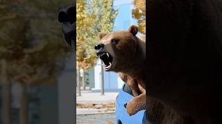 Bear Inside Car in Los Angeles [upl. by Hairakcaz]