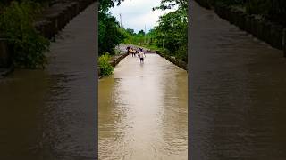 Mega flood our village malkangiri villagelife villagelifestyle [upl. by Delahk256]