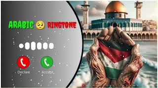 Sahare Chinne Walo Ringtone Muhafiz Aman Ke Hum Best Islamic RingtoneArabic Ringtone urdu naat [upl. by Alhsa919]