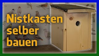 Nistkasten selber bauen  richtig aufhängen DIY Nistkästen für Meisen einfach [upl. by Ellard]