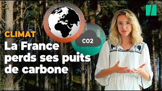 Pourquoi le Haut Conseil pour Climat pointe du doigt les puits de carbone [upl. by Andrey980]