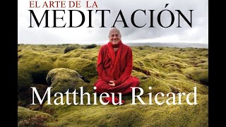 💥EL ARTE DE LA MEDITACIÓN💥Matthieu Ricard [upl. by Virge396]