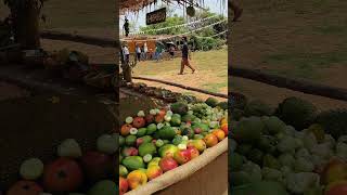 Farmers Market with rich local fruits as part of Mango Festival 2023 at Sanctity Ferme 1 Farms [upl. by Acinet574]