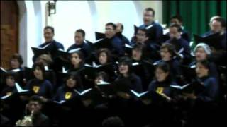 WA Mozart  Misericordias Domini [upl. by Arnuad286]