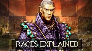 Skyrim  Races Explained  Elder Scrolls Lore [upl. by Aitnic561]