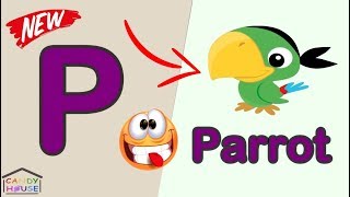 Phonics  The Letter P  كورس الصوتيات  تعلم نطق الحروف الانجليزية بشكل صحيح  P تعليم الاطفال حرف [upl. by Storfer]